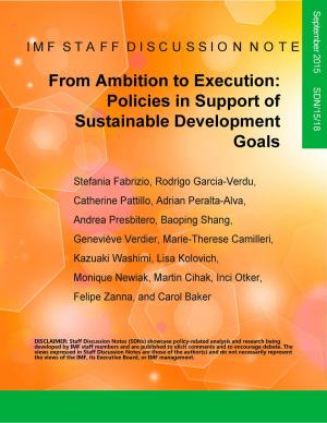 Cover of the book From Ambition to Execution by Sena Ms. Eken, John Mr. Laker, Shailendra  Mr. Anjaria