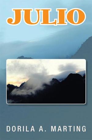 Cover of the book Julio by JHB