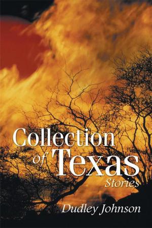 Cover of the book Collection of Texas Stories by Sasha