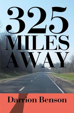 Cover of the book 325 Miles Away by Dr. Dean Van Leuven