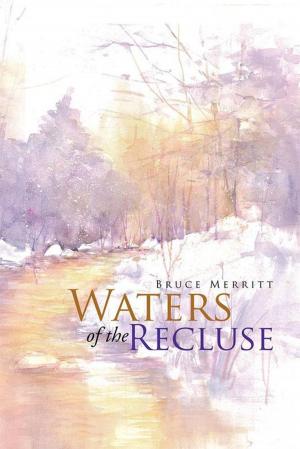 Cover of the book Waters of the Recluse by Paul Thomas Keenan