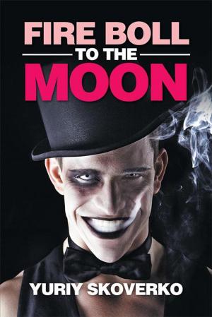 Cover of the book Fire Boll to the Moon by Lance L. Palmgren