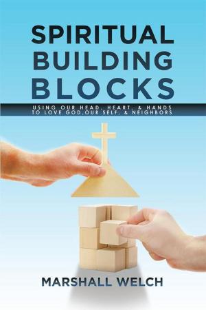 Cover of the book Spiritual Building Blocks by Anne E. O'Neill