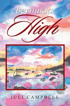 Cover of the book Bermuda High by MARILYN MC GREEN HOTZ