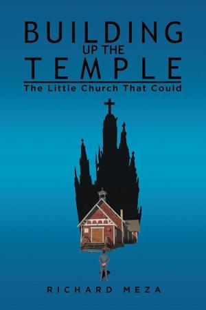 Cover of the book Building up the Temple by Donald Rilla