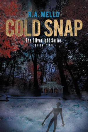 Cover of the book Cold Snap by Cyrus Shahrzad