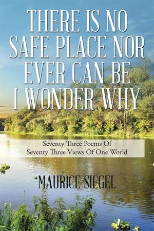 Cover of the book There Is No Safe Place nor Ever Can Be I Wonder Why by Ricky Joe Artz