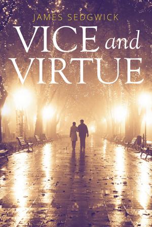 Cover of the book Vice and Virtue by Ashok Sinha
