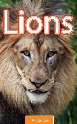 Cover of the book Lions by VT Booker