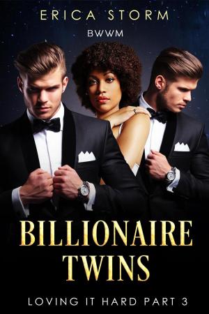 Cover of the book Billionaire Twins: Loving It Hard by Emily St. Vincent