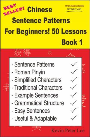 Cover of the book Chinese Sentence Patterns For Beginners! 50 Lessons Book 1 by orna taub