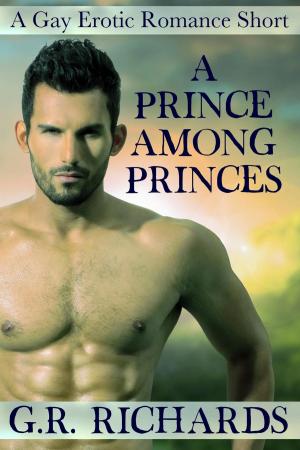 Cover of the book A Prince Among Princes: A Gay Erotic Romance Short by G.R. Richards