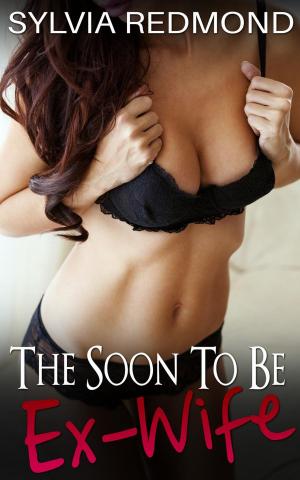 Book cover of The Soon To Be Ex-Wife