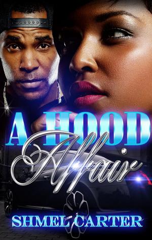 Cover of the book A Hood Affair by Robert C. Huckins