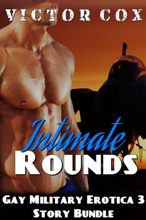 Book cover of Intimate Rounds