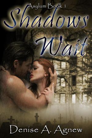 Book cover of Shadows Wait (Asylum Trilogy Book 1)