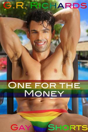 Cover of the book One for the Money by Lily. G. Blunt