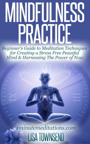 Cover of the book Mindfulness Practice: Beginner's Guide to Meditation Techniques for Creating a Stress Free Peaceful Mind & Harnessing The Power of Now by Celia Cook
