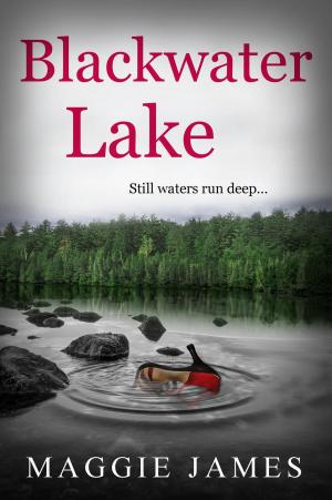 Cover of the book Blackwater Lake by Matthew David Carroll