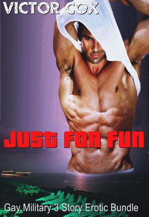 Cover of the book Just for Fun by Nathan Prince
