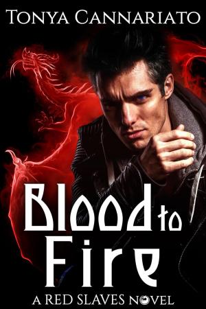 Cover of the book Blood to Fire by Tonya Cannariato