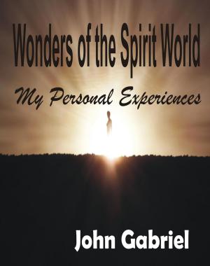 Book cover of Wonders Of The Spirit World