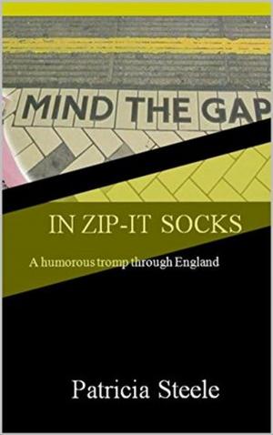 Cover of the book Mind the Gap in Zip-it Socks by Nicole Maldonado