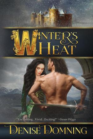 Cover of the book Winter's Heat by Mary Flowers