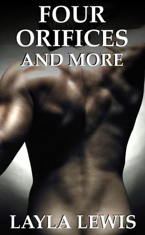 Cover of Four Orifices and More (a urethral play and BDSM erotica bundle)