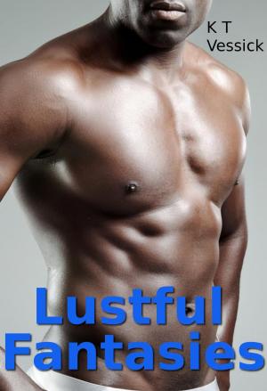 Cover of Lustful Fantasies