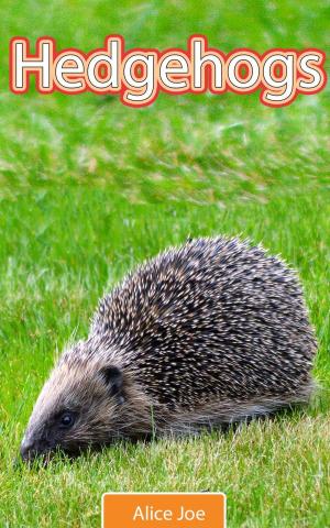 Cover of the book Hedgehogs by Alice Joe