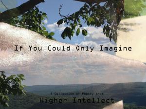 Cover of the book If You Could Only Imagine by M K Lee