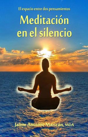 Book cover of Meditación en el silencio