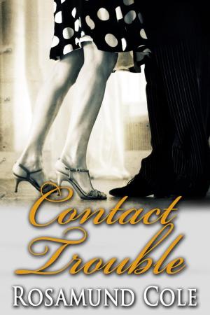 Cover of the book Contact Trouble by Selina Rush