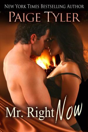 Cover of the book Mr. Right-Now by Paige Tyler