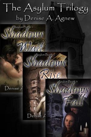 Cover of the book Asylum Trilogy (Shadows Wait, Shadows Rise, Shadows Fall) Box Set by T.J. McGuinn