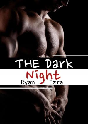 Cover of The Dark Night [Gay Erotik]