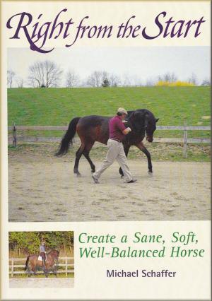 Cover of Right from the Start - Create a Sane, Soft, Well-Balanced Horse