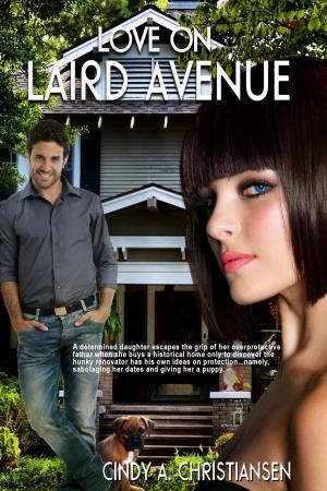 bigCover of the book Love on Laird Avenue by 