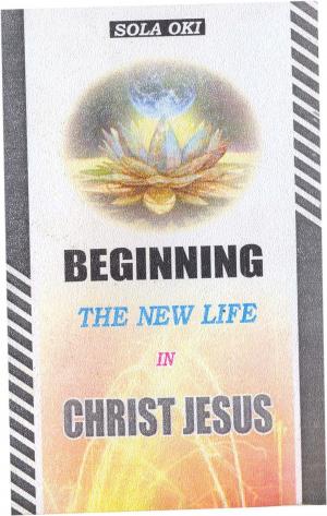 Cover of the book Beginning The New Life In Christ Jesus by Sola Oki