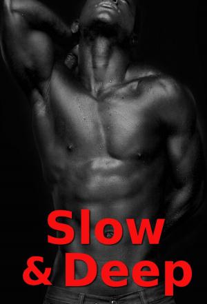 Book cover of Slow & Deep