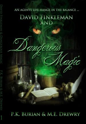 Book cover of David Finkleman and Dangerous Magic