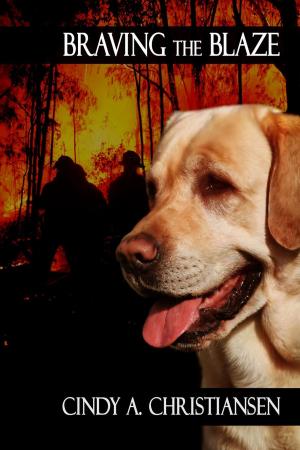 Cover of the book Braving the Blaze by pd mac