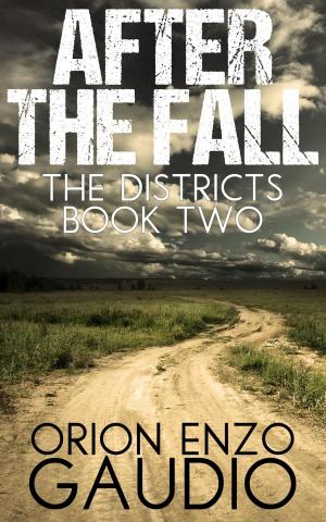 Cover of the book After the Fall by Debbie Bennett