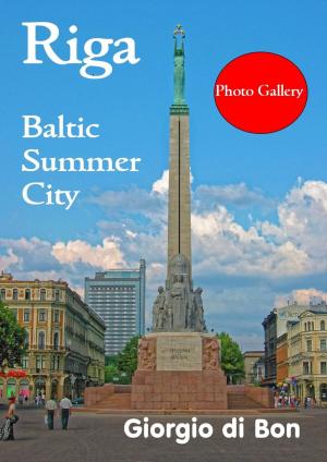 Book cover of Riga - Baltic Summer City