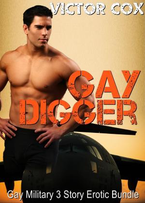 Cover of the book Gay Digger by Victor Cox