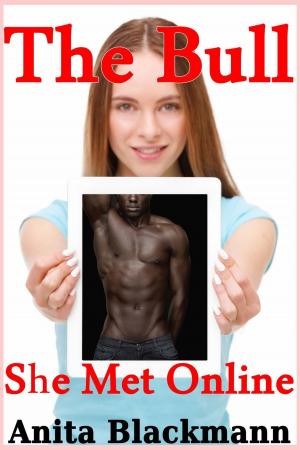 Book cover of The Bull She Met Online