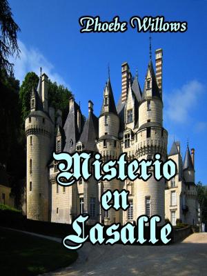 Cover of Misterio en Lasalle