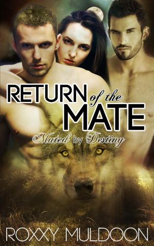 Cover of the book Return of the Mate by Vicki Savage