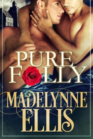 Cover of the book Pure Folly by Clara Leigh